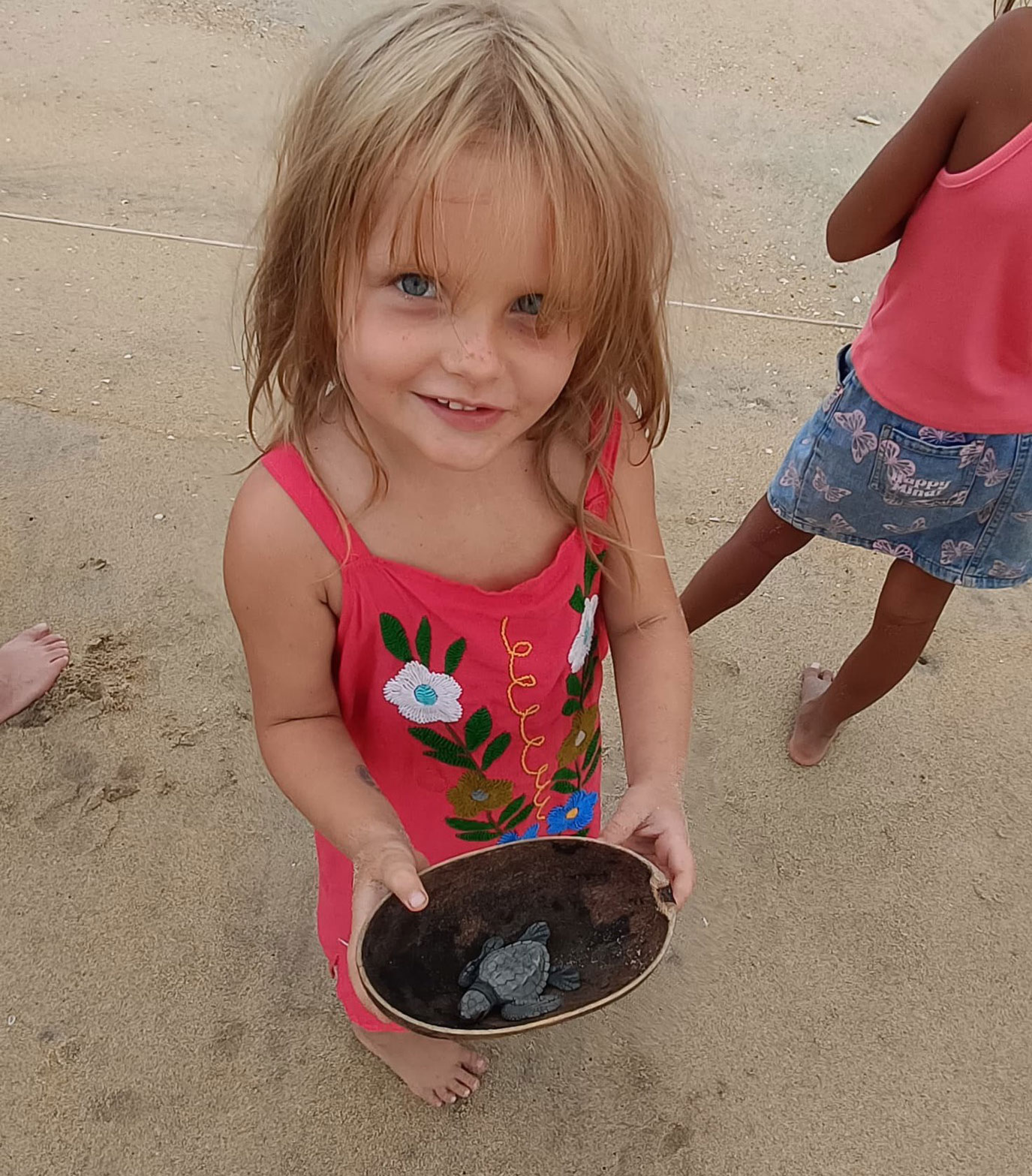 release of sea turtles in puerto escondido